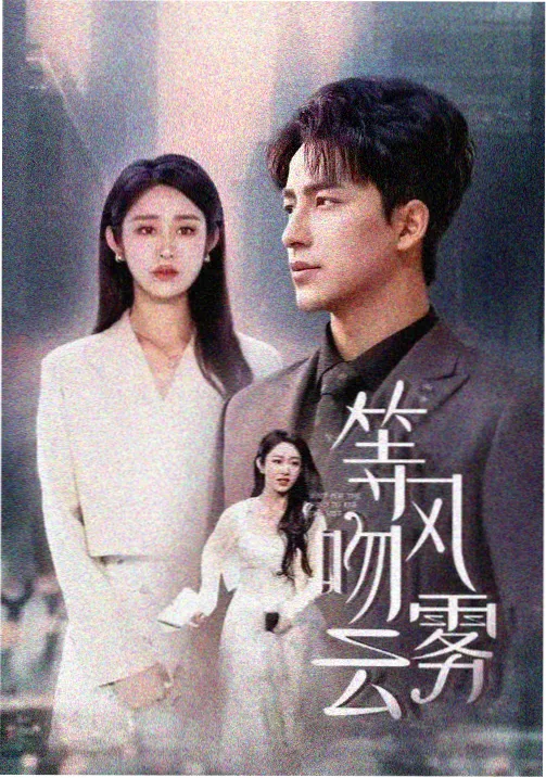 美女视频在线 二区热播
